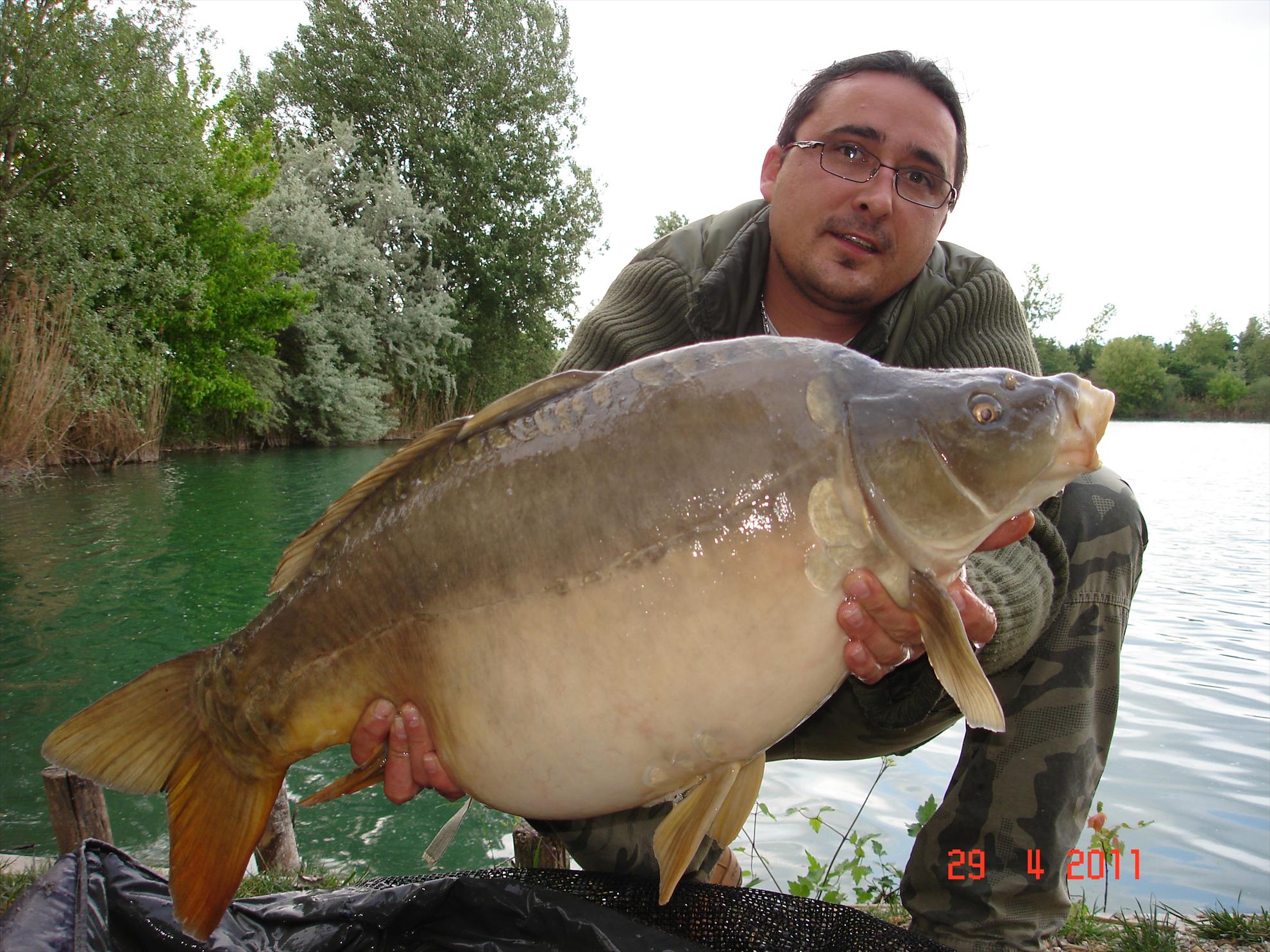 THE BIGS OF 2011 - p1000098.JPG